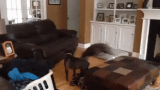 17 man trinh dien nhay nhot nhu phim chuong cua nhung chu cho