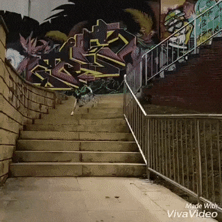 17 man trinh dien nhay nhot nhu phim chuong cua nhung chu cho