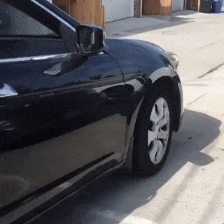 17 man trinh dien nhay nhot nhu phim chuong cua nhung chu cho