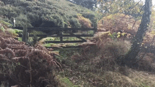 17 man trinh dien nhay nhot nhu phim chuong cua nhung chu cho