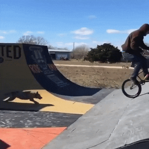 17 man trinh dien nhay nhot nhu phim chuong cua nhung chu cho