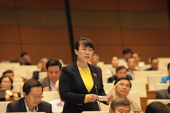 5 dbqh bi dung nhiem vu vi sai pham quoc hoi khong bau bo sung