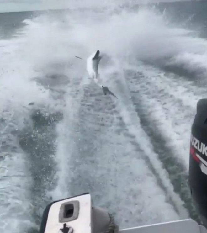 tra tan ca map keo le dang sau ca no cao toc 3 thanh nien phai tra gia dat cho hanh dong tan ac cua minh