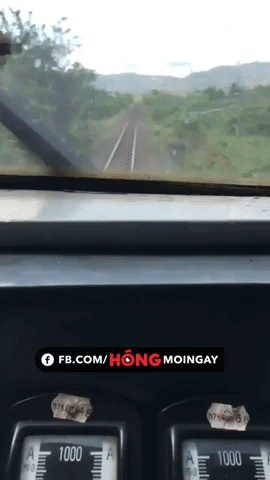 clip dan de lao len duong ray dung luc doan tau chay qua va cai ket thuong tam