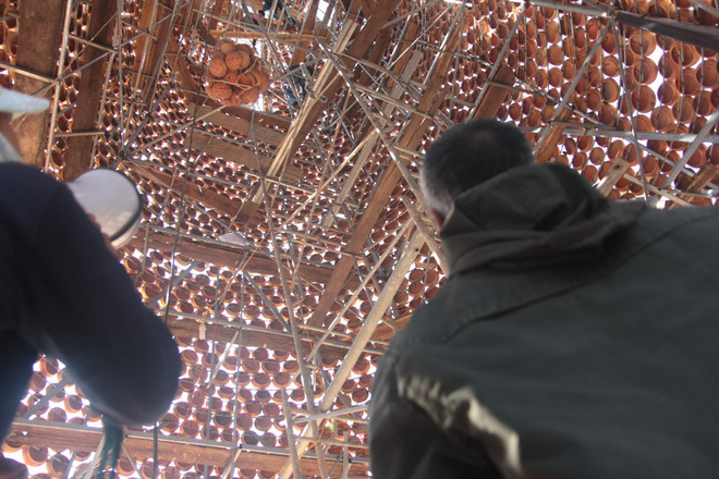 nguoi dan nghe an chung tay dung cay thong noel doc dao bang noi dat nung cao 25m