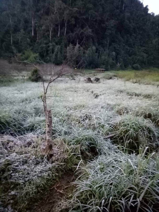 nghe an mot so noi xuong den 0 do c vung nui cao xuat hien bang tuyet