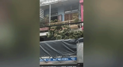 clip do xe tai chan truoc cua nha tai xe bi gia chu hat nuoc duoi di