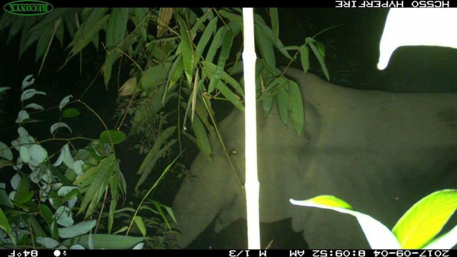 nguoi dan xon xao khi lien tiep phat hien voi rung tai ha tinh