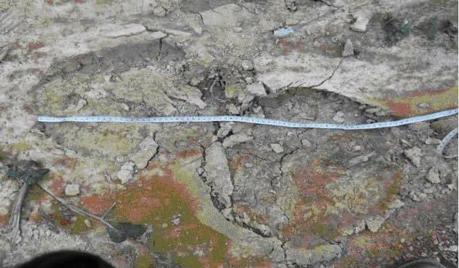 nguoi dan xon xao khi lien tiep phat hien voi rung tai ha tinh