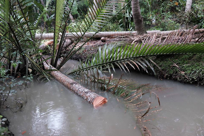 bao tembin ben tre bat dau mua lon nhieu nguoi bo len thanh pho tranh bao