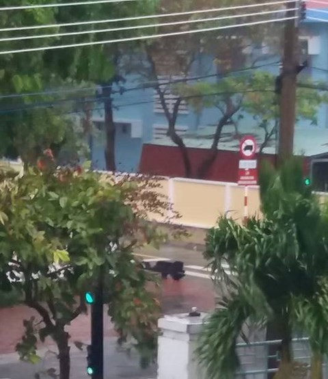 bao tembin suy yeu thanh ap thap nhiet doi khong di vao dat lien nhung van gay mua