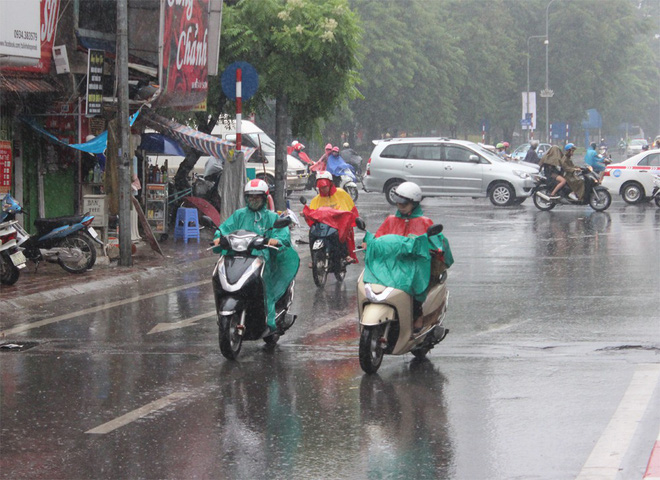 mua tu dem qua den gio van chua ngot ha noi chim trong ret dam duoi 15 do c