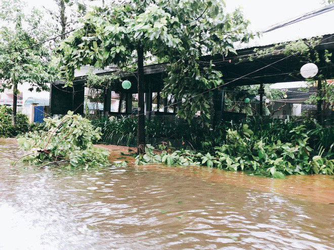 nhin lai 16 con bao do bo bien dong chi trong vong nua nam 2017 dieu chua tung co trong lich su