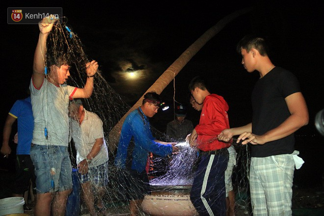 nhin lai 16 con bao do bo bien dong chi trong vong nua nam 2017 dieu chua tung co trong lich su