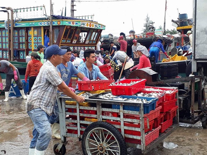 thua thien hue hon 76 ty dong chap canh cho ngu dan danh bat xa bo