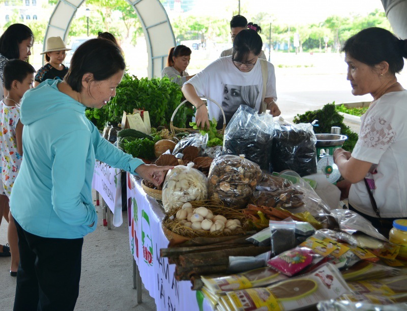 dong thap trien khai xay dung mo hinh cho nong dan