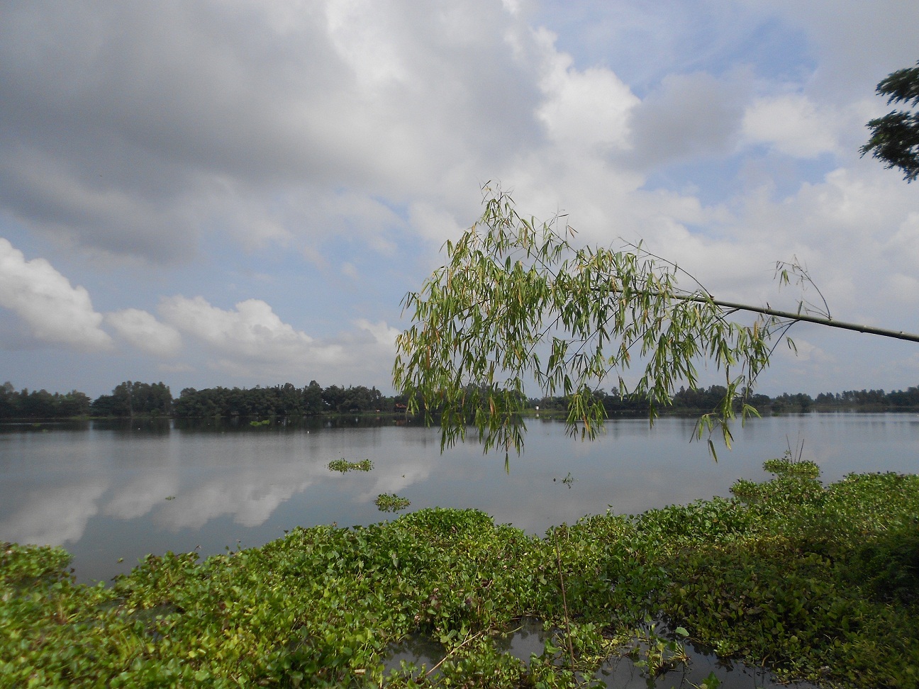 bung binh thien noi dong nuoc gan duc khoi trong