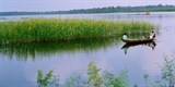 bung binh thien noi dong nuoc gan duc khoi trong