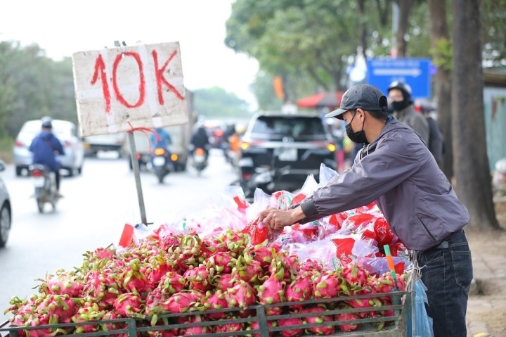 Băng vệ sinh làm từ vỏ thanh long - Ý tưởng trị giá 100.000 USD của ba nữ sinh Việt