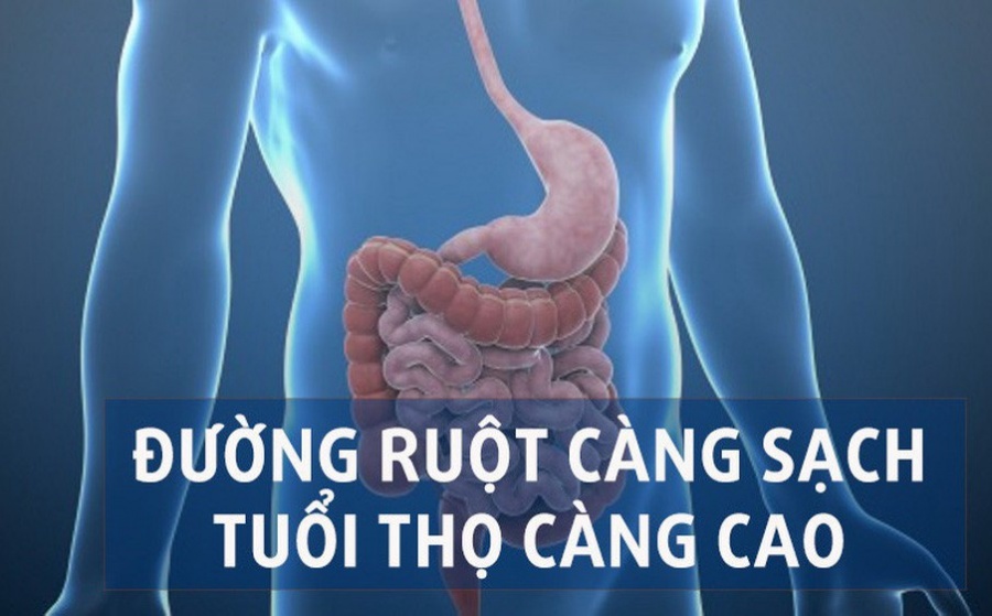 Thải độc ruột bằng phương pháp tự nhiên