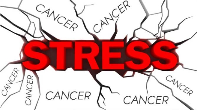 Những tác động tiêu cực lên não bộ khi stress