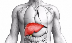 Cách bấm huyệt giúp gan, phổi và thận khỏe mạnh