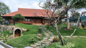 co ngoi hoanh trang cua danh hai xuan bac