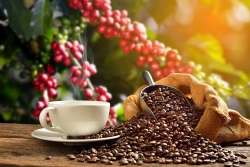 Giá cà phê hôm nay 23/3: Dự báo giá sẽ sụt giảm theo các thị trường hàng hóa