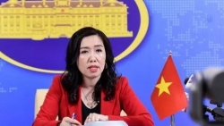 Việt Nam bác bỏ quyết định cấm đánh bắt cá của Trung Quốc ở Biển Đông