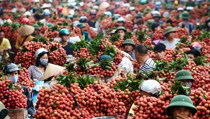 hon 300 thuong nhan trung quoc duoc cap phep vao mua vai thieu luc ngan bac giang