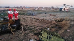 Vụ rơi máy bay ở Iran: Ít nhất 63 công dân Canada tử vong