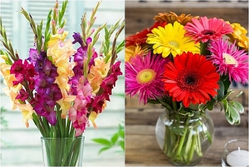 Những loại hoa cúng ban thờ dịp Tết để cả năm an khang, thịnh vượng