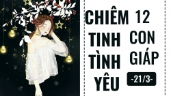 chiem tinh ngay mai 243 ve cong viec cua 12 con giap tuoi suu can giup do