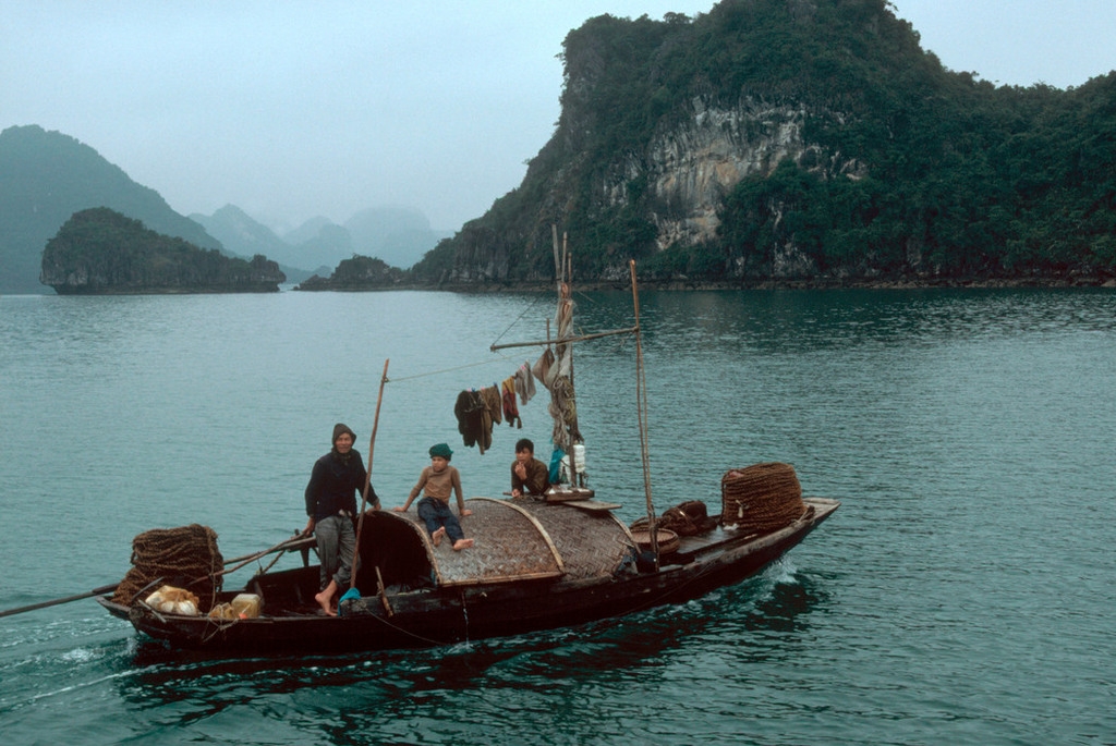 nhip song hoi ha nhon nhip o quang ninh nam 1994 1995