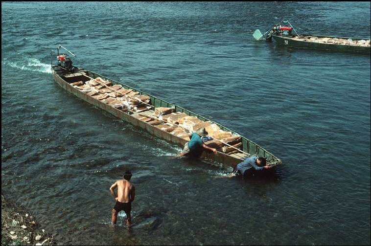 nhip song hoi ha nhon nhip o quang ninh nam 1994 1995