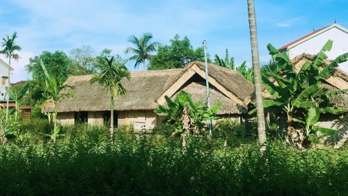 Tháng 5, về thăm làng sen quê Bác ngan ngát hương thơm