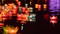 Chùa Tam Chúc đẹp lung linh trong đêm hoa đăng cầu hòa bình thế giới