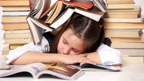 Áp lực học hè vì phụ huynh sợ con kém cỏi
