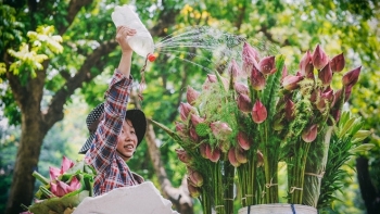 12 mùa hoa và những điều đặc biệt chỉ Hà Nội mới có