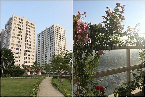 Tôi mua được nhà dù chỉ có 80 triệu đồng trong tay