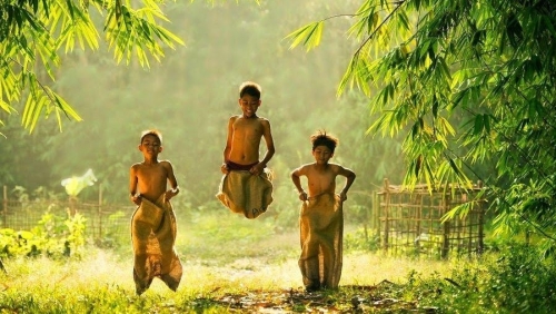 Tre và con đường ký ức đã mất