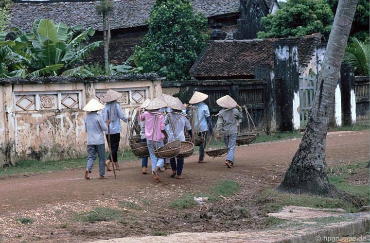 hinh anh gay thuong nho ve chua thay nam 1991