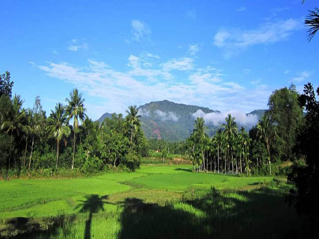 lang co dep nhu tranh ve tren que huong cu huynh thuc khang