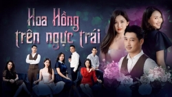 lich phat song noi dung phim hoa hong tren nguc trai tren vtv3