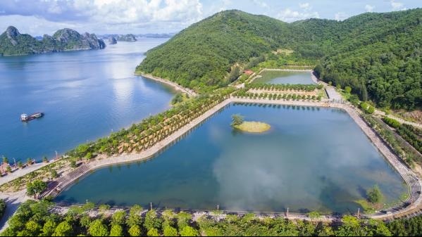 Đảo Thẻ Vàng-nơi có đại công trường trái phép giữa vịnh Bái Tử Long