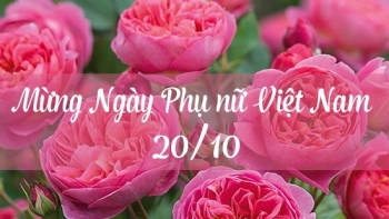 Lời chúc 20/10 hay, ý nghĩa nhất cho ngày Phụ nữ Việt Nam