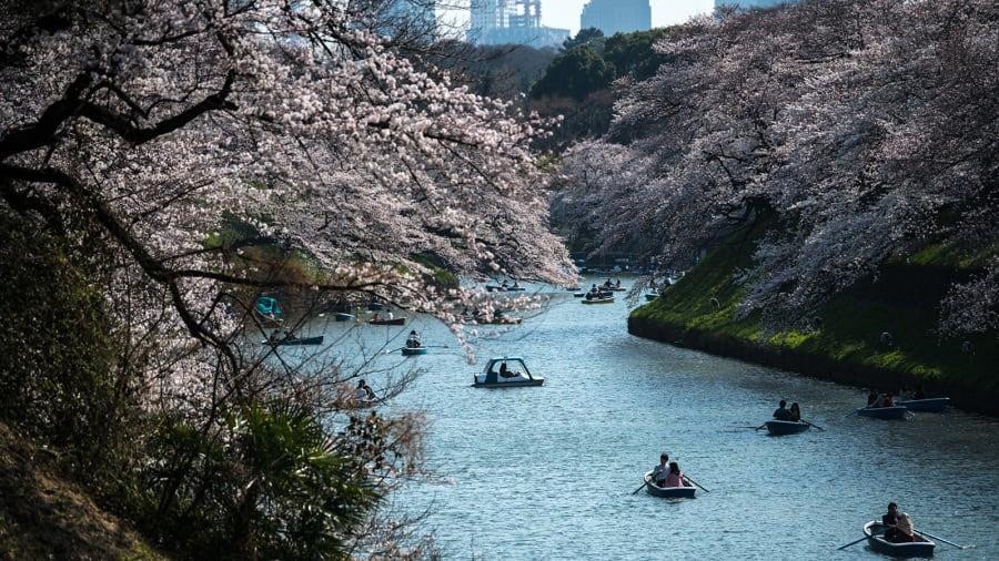 hoang cung tokyo