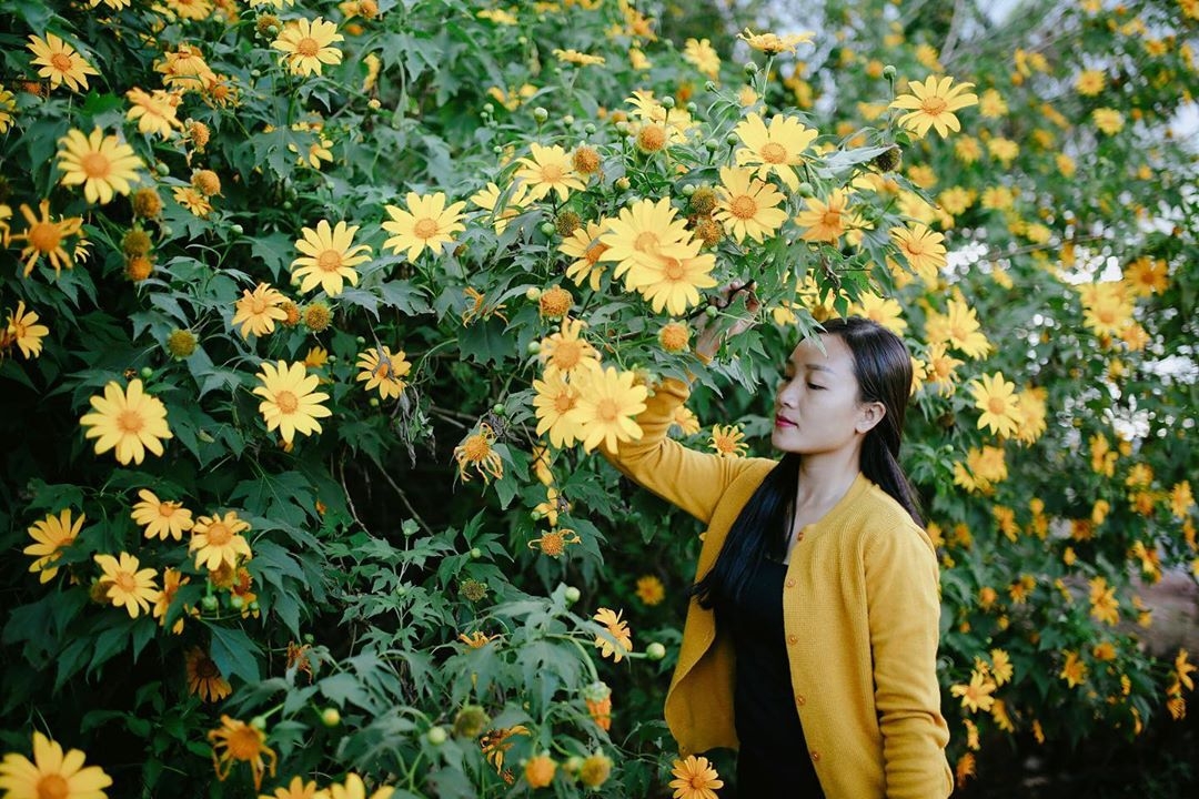 mua da quy no ro tu ba vi hung vi den da lat mong mo