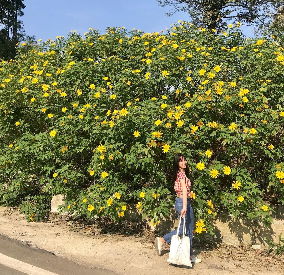 mua da quy no ro tu ba vi hung vi den da lat mong mo