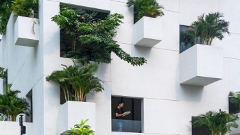 Ngôi nhà với 10 mảnh vườn lơ lửng, xanh mát giữa Sài Gòn nhộn nhịp